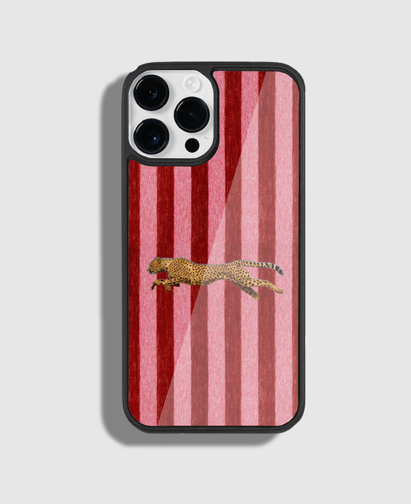 𝐒𝐩𝐞𝐞𝐝𝐢𝐧𝐠 𝐂𝐡𝐞𝐞𝐭𝐚𝐡 𝐓𝐨𝐮𝐠𝐡 𝐏𝐡𝐨𝐧𝐞 𝐂𝐚𝐬𝐞